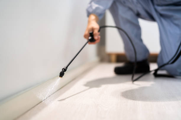 Licensed Termite Control service in Edenton, NC - Nex Pest Control