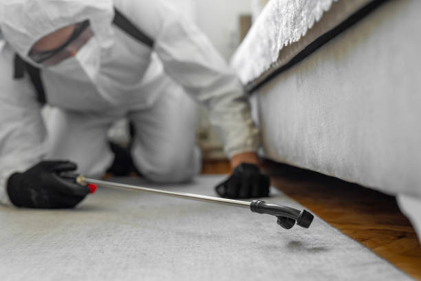 Professional Termite Control technician working in Edenton, NC