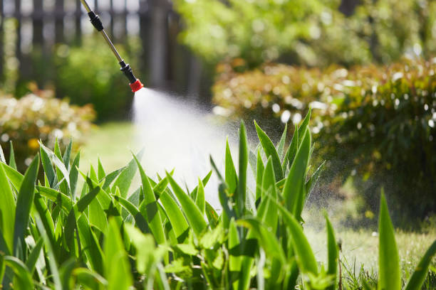 24/7 Emergency Termite Control experts in Edenton, NC