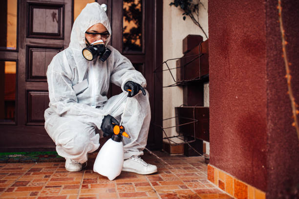 Reliable Termite Control contractor in Edenton, NC by Nex Pest Control